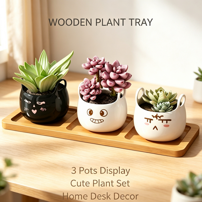 Desktop Wooden Plant Stand
