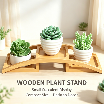 Desktop Wooden Plant Stand